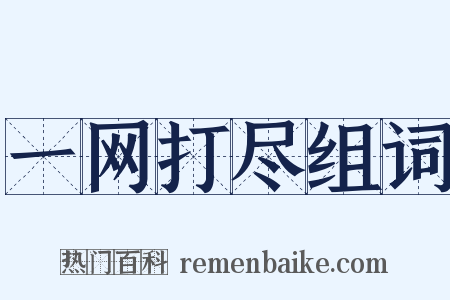 一网打尽组词是什么意思的图片